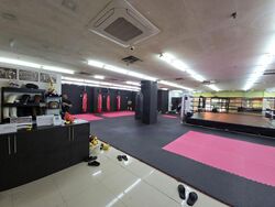 Balestier Point (D12), Shop House #485990621